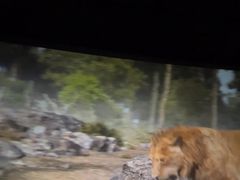 -高新活力汇Vitality