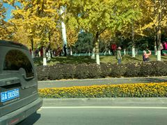 -重庆市江北嘴中央商务区中央公园