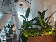 -贝林大翅鲸简餐厅(国家海洋博物馆店)