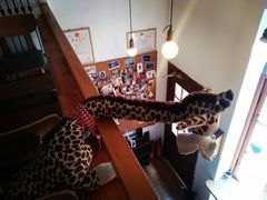 -长颈鹿咖啡(大学路店)