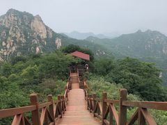 -大岭沟猕猴桃谷风景区