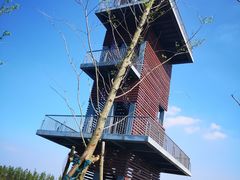 -春花秋色城市公园