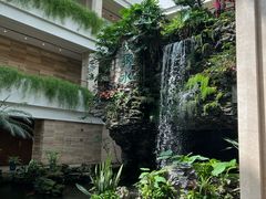 -广州白天鹅宾馆