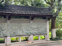 -八卦田遗址公园