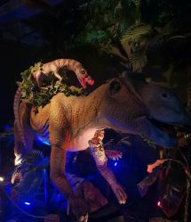 -恐龙探索乐园(磁器口店)