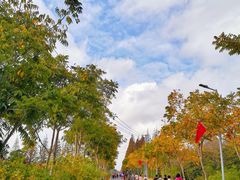 -上海长兴岛郊野公园