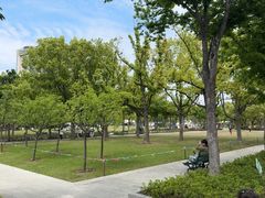 -新江湾城公园