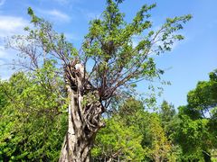 -崇圣寺三塔文化旅游区