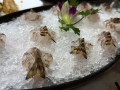 -富来美食(成发大厦店)