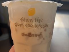 -猫的魔法密林(衣裳街店)