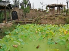 -驿舍·民國老营房院子私房菜(科学会堂店)