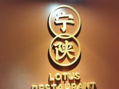 -莲花餐饮(高新店)