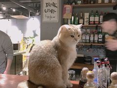 -咖法森林·咖啡  酒吧(天河店)