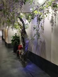 -盘子女人坊古装写真摄影(深圳店)