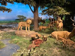 -国家自然博物馆