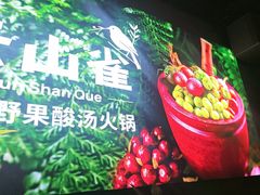 -花菇朵·云山雀 ll 野生菌锅·野果酸汤·精品滇菜(万柳店)