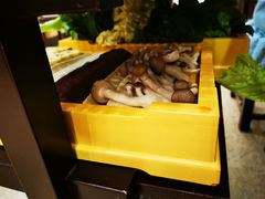 -天府火锅·始于1989年(老城十字街店)