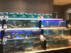 水产区-盒马鲜生(杭州运河上街店)