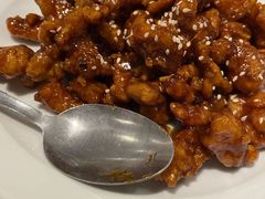 -峨嵋一派