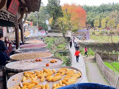 -塔川景区