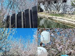 -三里河公园