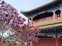 -天津大悲禅院