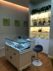 -诗媛嘉美健康管理中心(金桥店)