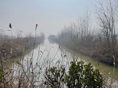 -盐城丹顶鹤湿地生态旅游区