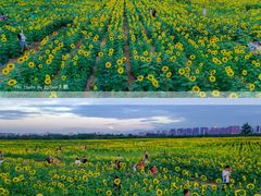 -汉长安城未央宫国家考古遗址公园