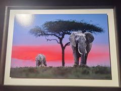 -罗红摄影艺术馆