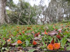 -华南国家植物园-售票处
