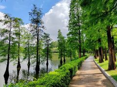 -南国桃园旅游度假区