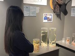 -冰岛阴茎博物馆
