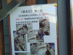 -挚友(东四二条)