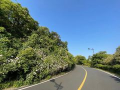 -宝界山林公园