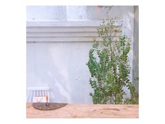 -拾壹cafe·工作室