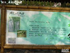 -紫竹院公园冰场