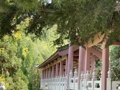 -龙口南山旅游景区