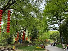 -无锡梅园公园