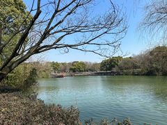 -西溪国家湿地公园