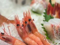 -月龍吟(朝龙汇店)