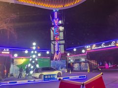 -枫花园汽车电影院(朝阳公园店)