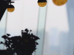 -Hi City·城市之巅