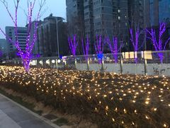 -远洋未来广场(育慧北路店)