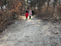 -沈阳辉山风景区