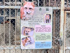 -哈尔滨北方森林动物园