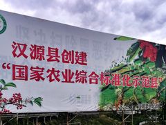 -刘艳黄牛肉(九襄店)