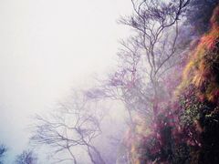 -綦江古剑山