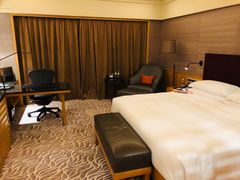 -新加坡文华东方酒店