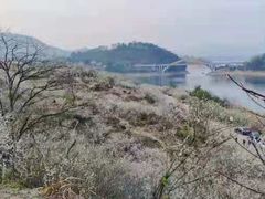 -广州市流溪河国家森林公园